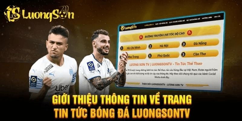 Trải nghiệm người dùng tại nền tảng Luong Son